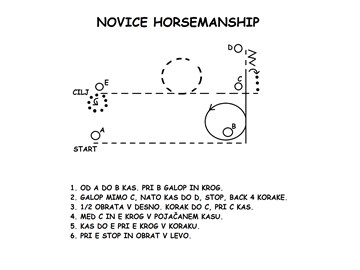 NOVICE HORSEMANSHIP GOLDEN RANCH.png