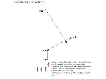 Horsemanship youth