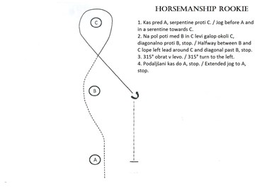 Horsemanship Rookie & Horsemanship Green Level.jpg